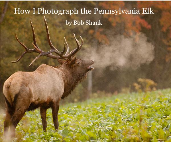 Pennsylvania Elk Photography Experience Photo Book by Bob Shank Photography