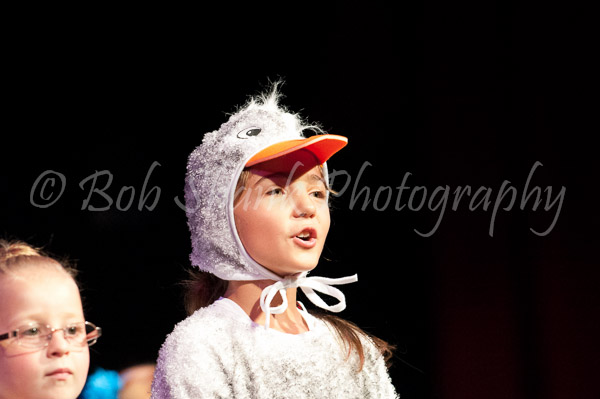 CTW 2011-016-2