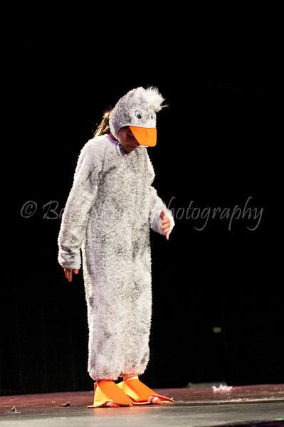 CTW 2011-082