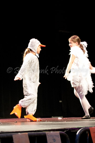 CTW 2011-100