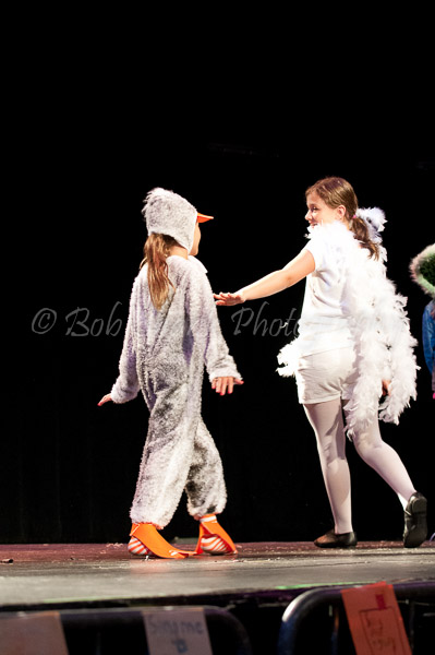 CTW 2011-104