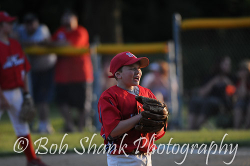 Little League Baseball 2013-06-21 1368