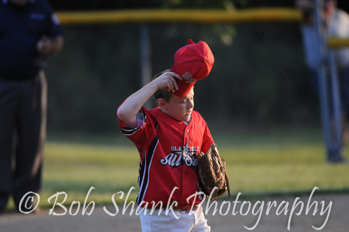 Little League Baseball 2013-06-21 1398