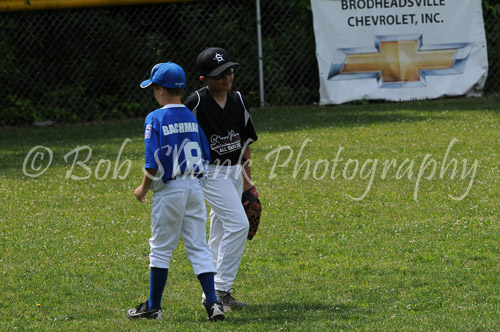Little League Baseball 2013-06-22 0102