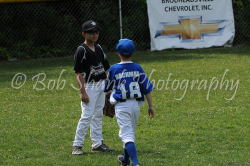 Little League Baseball 2013-06-22 0101