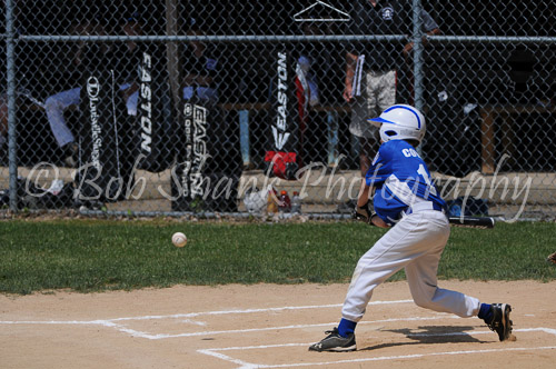 Little League Baseball 2013-06-22 0183