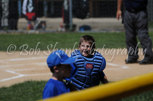 Little League Baseball 2013-06-22 0284