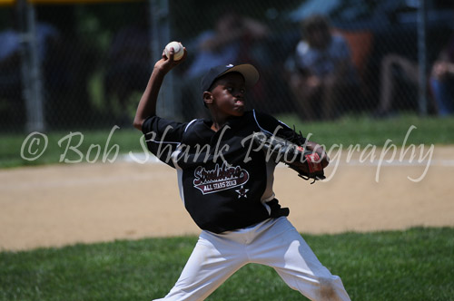 Little League Baseball 2013-06-22 0809