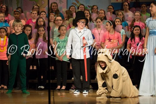 PVI Musical 2014-05-02-042