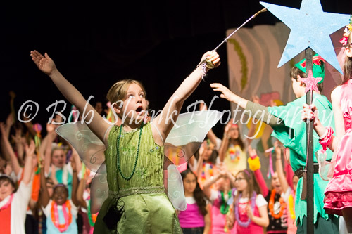 PVI Musical 2014-05-02-210