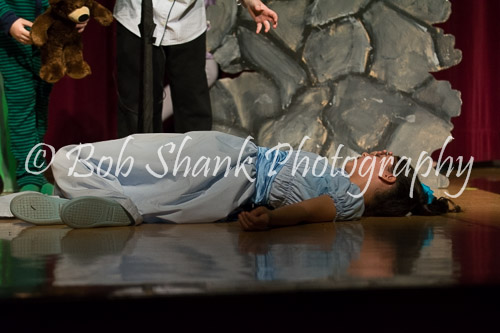 PVI Musical 2014-05-02-332