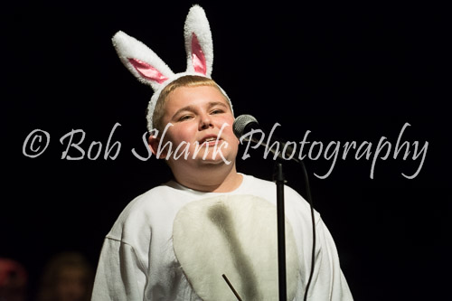 PVI Musical 2014-05-02-397