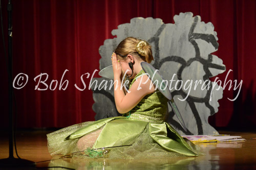 PVI Musical 2014-05-02-511