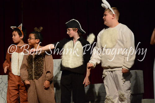 PVI Musical 2014-05-02-527
