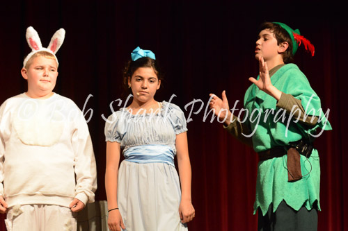 PVI Musical 2014-05-02-529