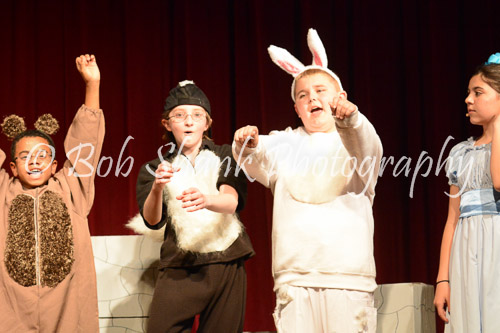 PVI Musical 2014-05-02-530