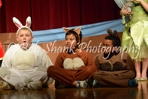 PVI Musical 2014-05-02-575