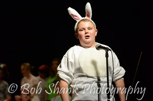 PVI Musical 2014-05-03-1306