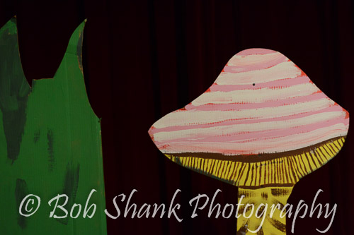 PVI Musical 2014-05-03-1344