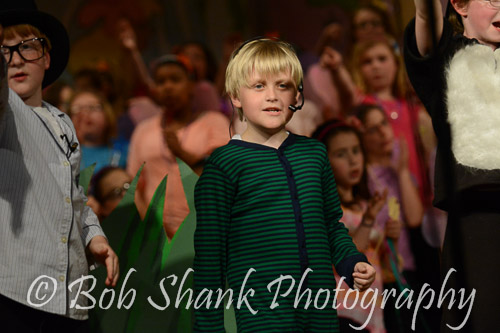 PVI Musical 2014-05-03-1479