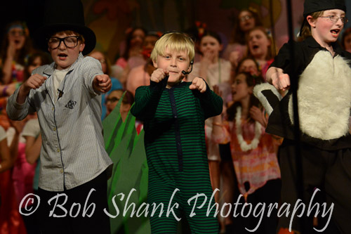 PVI Musical 2014-05-03-1523