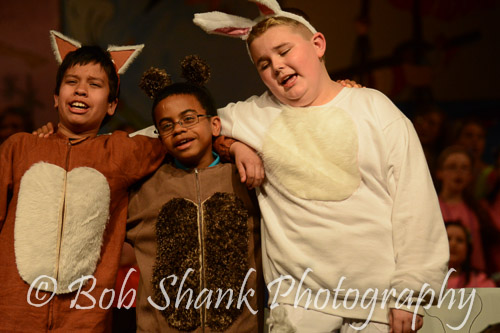 PVI Musical 2014-05-03-1615