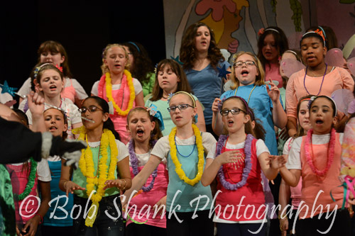 PVI Musical 2014-05-03-1944