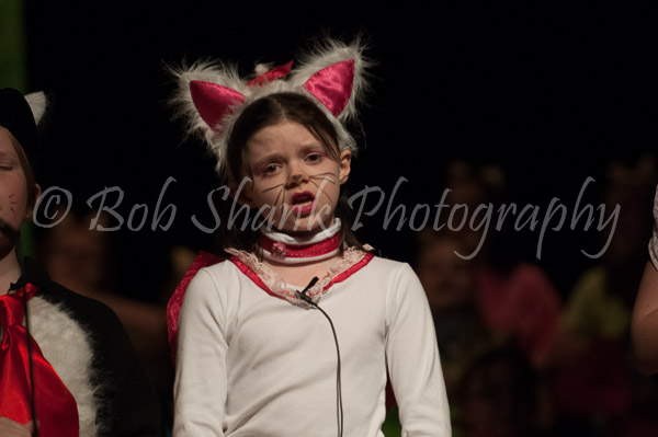 PVI Musical 2013-04-26-059