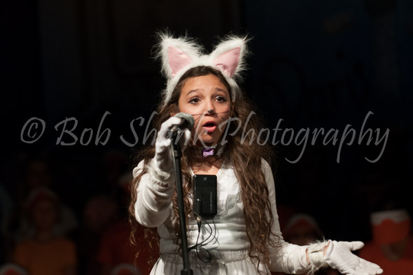 PVI Musical 2013-04-26-266