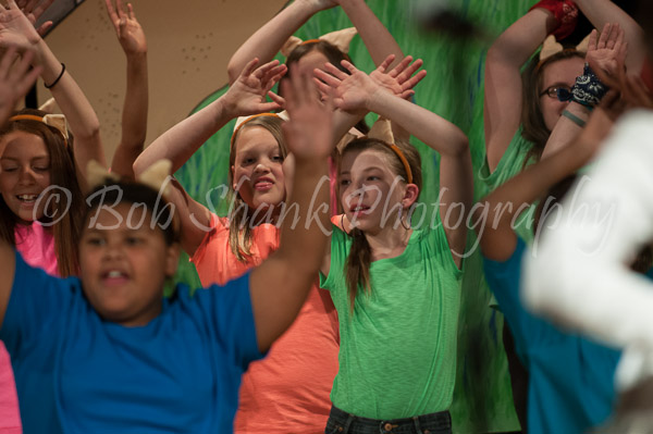 PVI Musical 2013-04-26-319