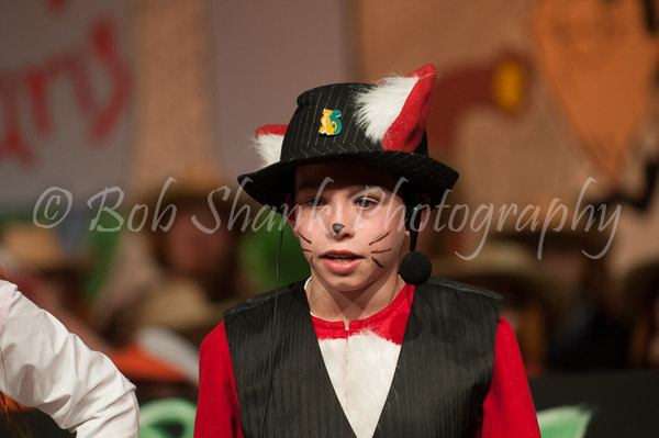 PVI Musical 2013-04-26-607