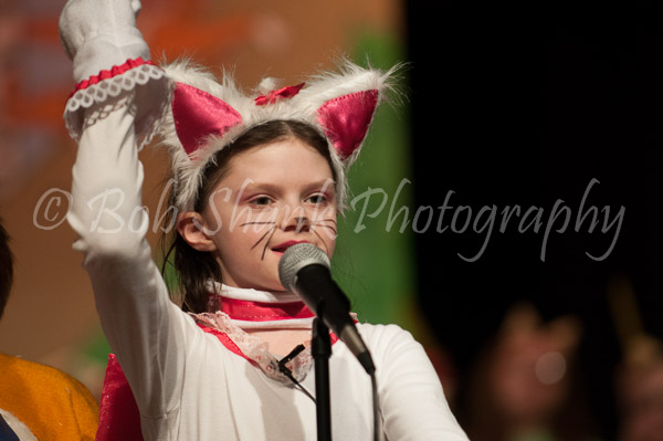 PVI Musical 2013-04-26-635