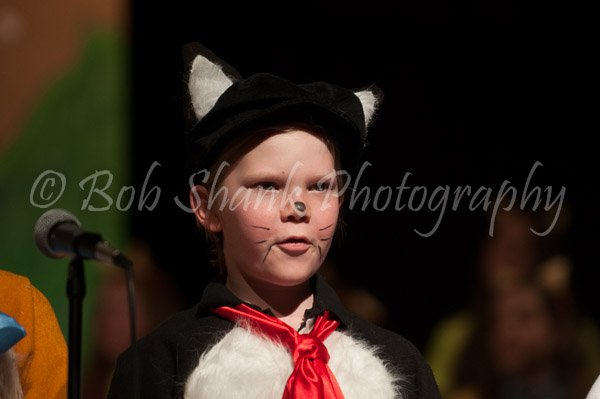 PVI Musical 2013-04-27-035