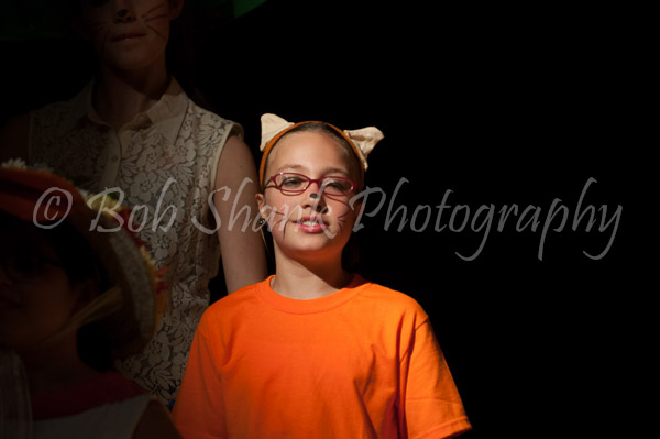 PVI Musical 2013-04-27-063