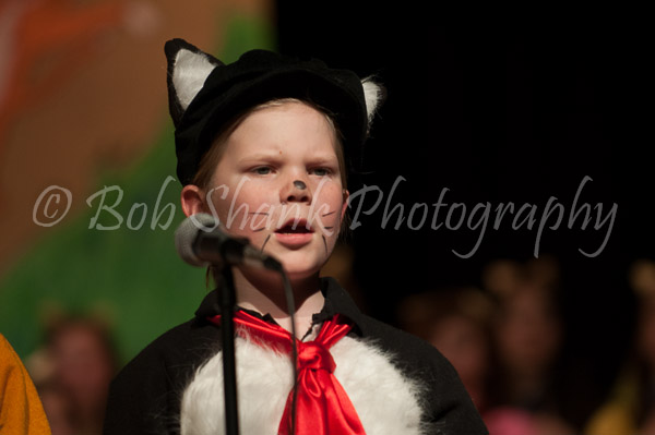 PVI Musical 2013-04-27-232