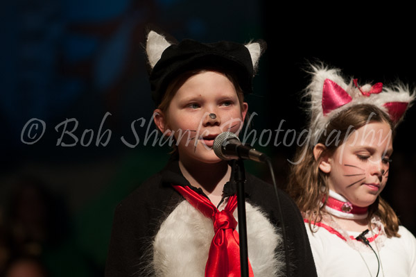 PVI Musical 2013-04-27-354