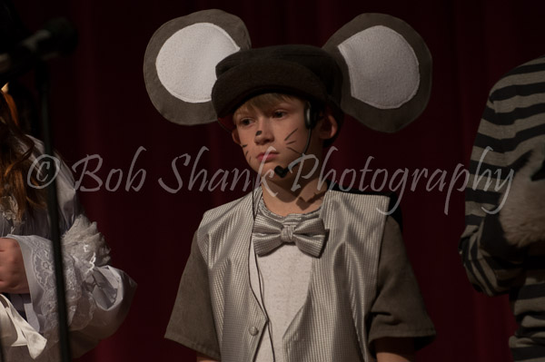 PVI Musical 2013-04-27-455