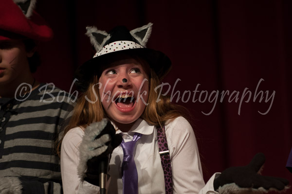 PVI Musical 2013-04-27-477